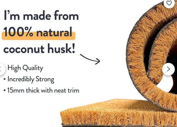 Welcome hope you like cat hair-Doormat greetfleets