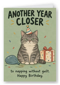 Another Year Closer to Napping Without Guilt Cat Birthday Card