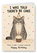 I Was Told There'd Be Cake Grumpy Cat Birthday Card