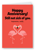 Flamingo Still Not Sick of You Anniversary Card