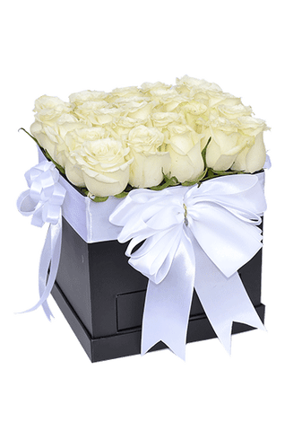 White Roses in Square Box