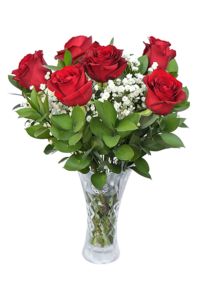 6 Roses in Vase
