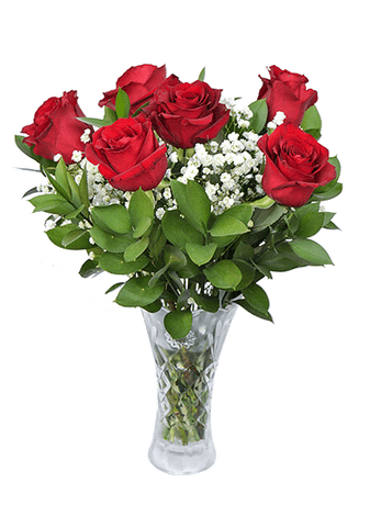 6 Roses in Vase