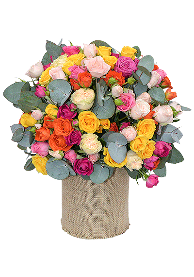 Sweetie Spray Roses