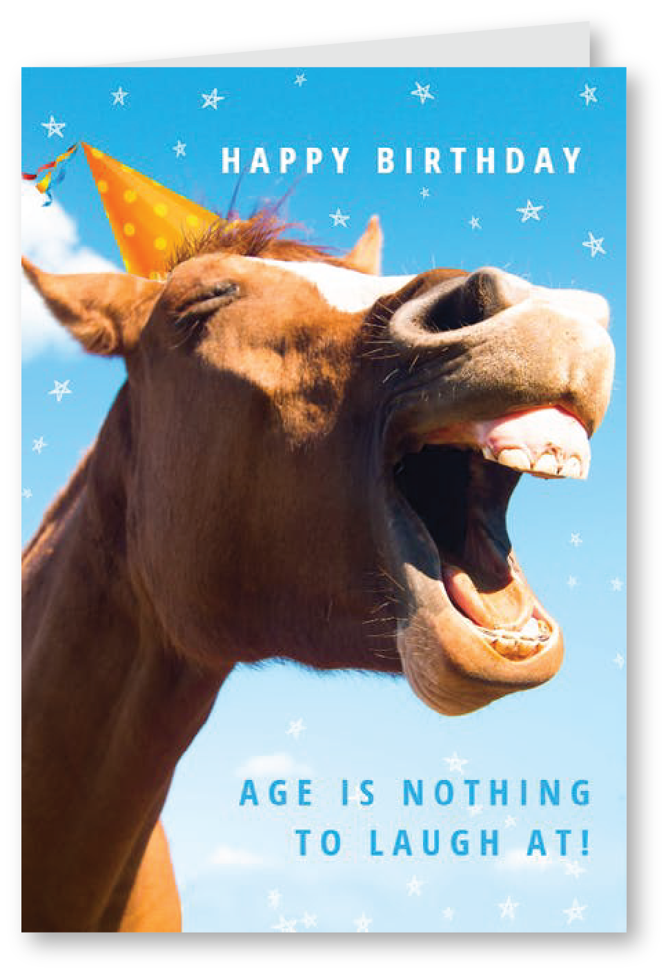 Nothing to laugh at - Birthday Card