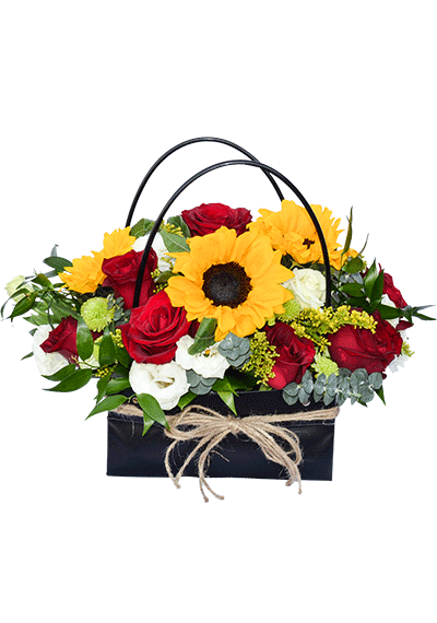 Bag Of Spring