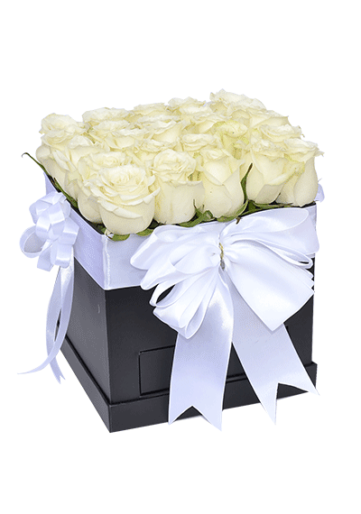 White Roses in Square Box